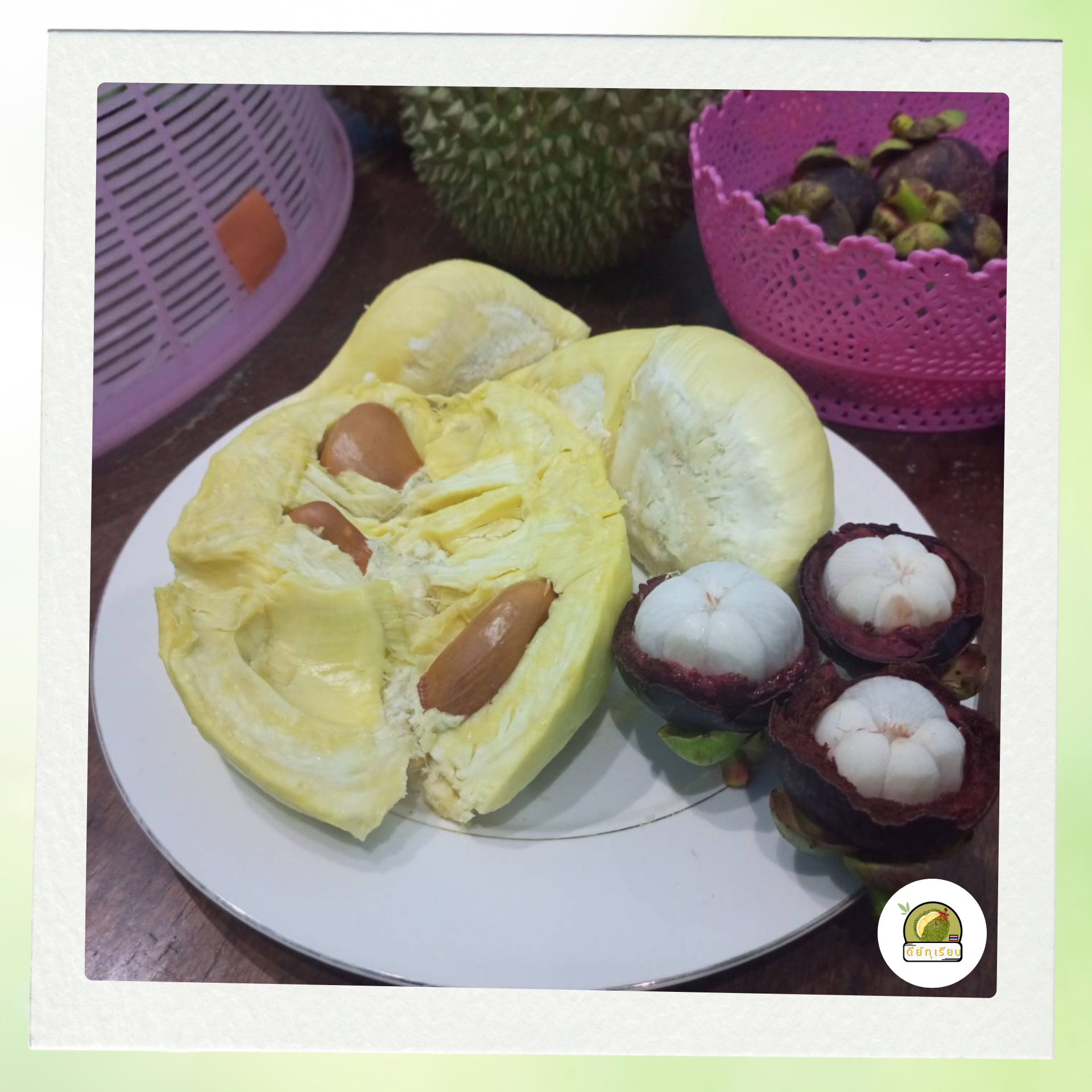 ทุเรียนออร์แกนิก